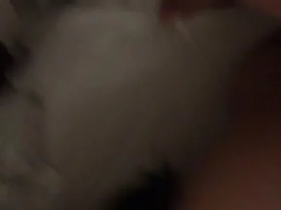 不看后悔！后入狠操！北京骚逼！到处求操！